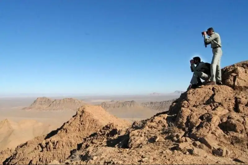 آغاز سرشماری سراسری حیات‌وحش در کشور