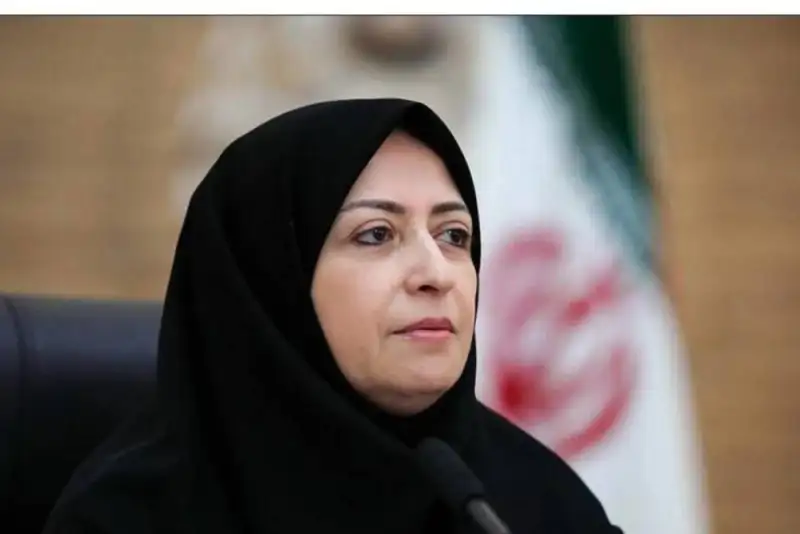 رئیس سازمان محیط زیست: چرخه خشونت در طبیعت باید شکسته شود