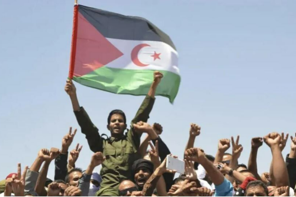 جبهه پولیساریو خودمختاری زیر نظر مغرب را رد کرد