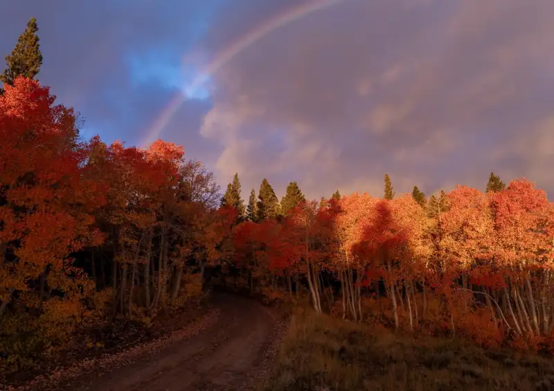 گزارش تصویری | رنگ های پاییز