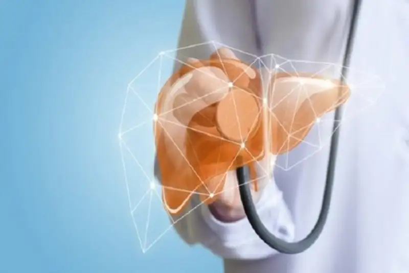 ارگانوئید جدید زخم کبدی را شبیه سازی می کند