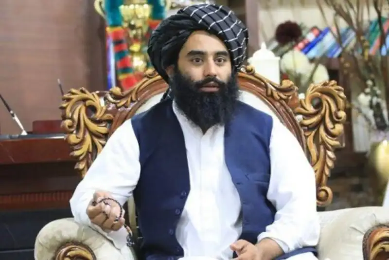 برگردید؛ جان‌تان در امان است