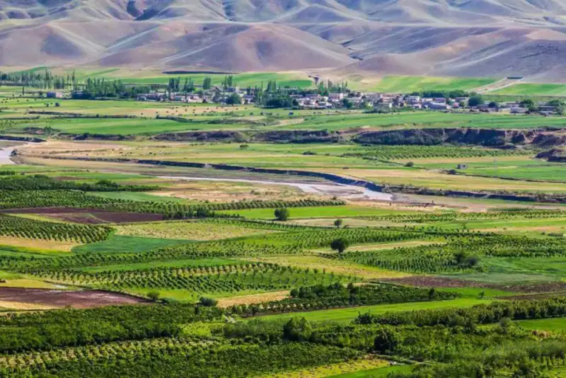 ایران نما | معرفی جاذبه های گردشگری شهرهای ایران(121)  «پارس آباد»