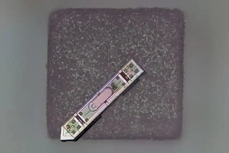 رصد مغز از طریق یک دانه نمک!