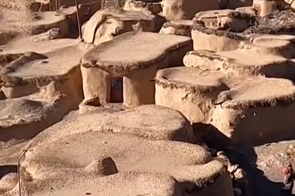 نورنما | سرزمین لی‌لی‌پوت‌ها