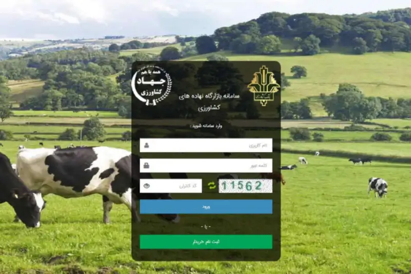 سامانه بازارگاه بستر فساد شد/ فروش نهاده‌های دامی به مرغداران با دو برابر قیمت