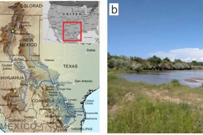 کشف راز اقلیم باستانی زمین با گیاهان 400 میلیون‌ ساله