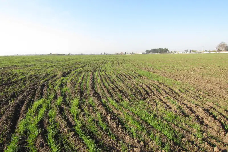 کاهش 140 میلیارد مترمکعبی بارش‌های کشور