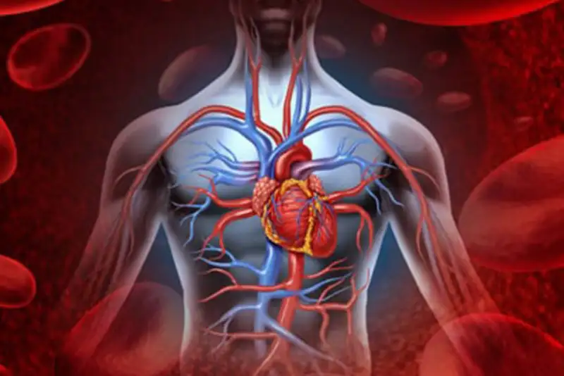 بیماران دچار سکته مغزی می‌توانند دوباره حرف بزنند