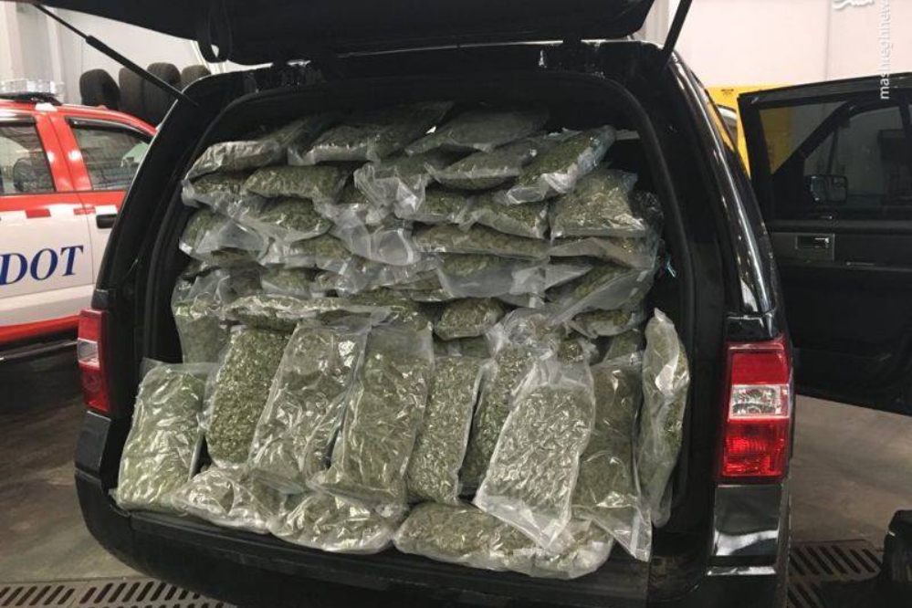 بزرگترین کشف ماریجوانا سال جاری توسط پلیس ری