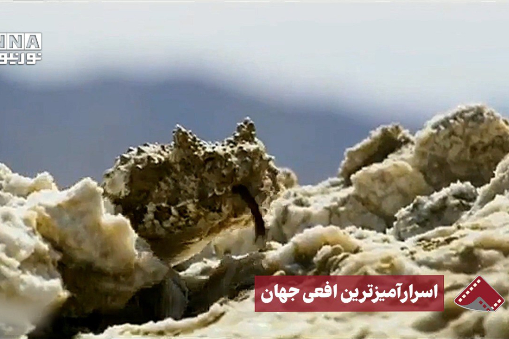 نورنما | اسرار‌آمیز‌ترین افعی جهان