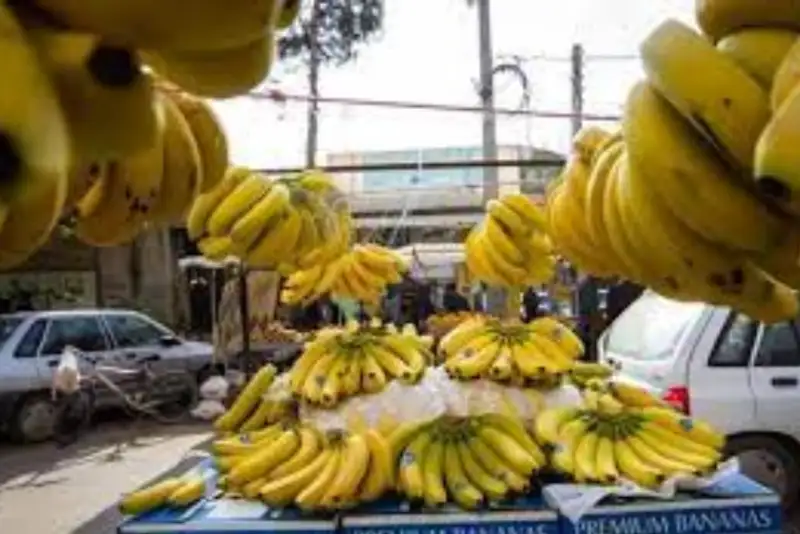 توقف واردات موز تکذیب شد