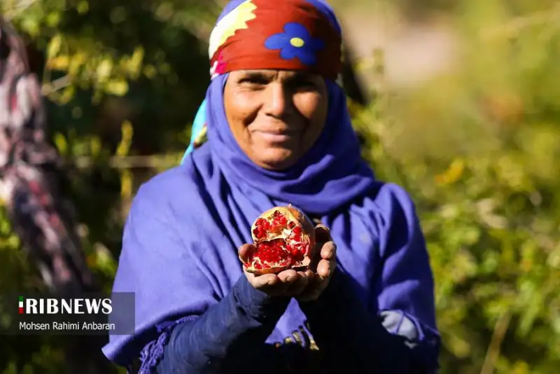 عکس های منتخب ایران، سه شنبه 20 آبان 1404