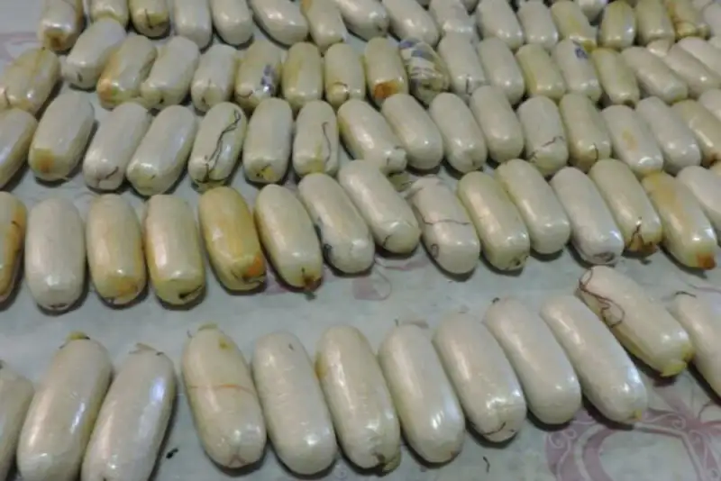 کشف 186 بسته هروئین  از معده 3 قاچاقچی در فارس