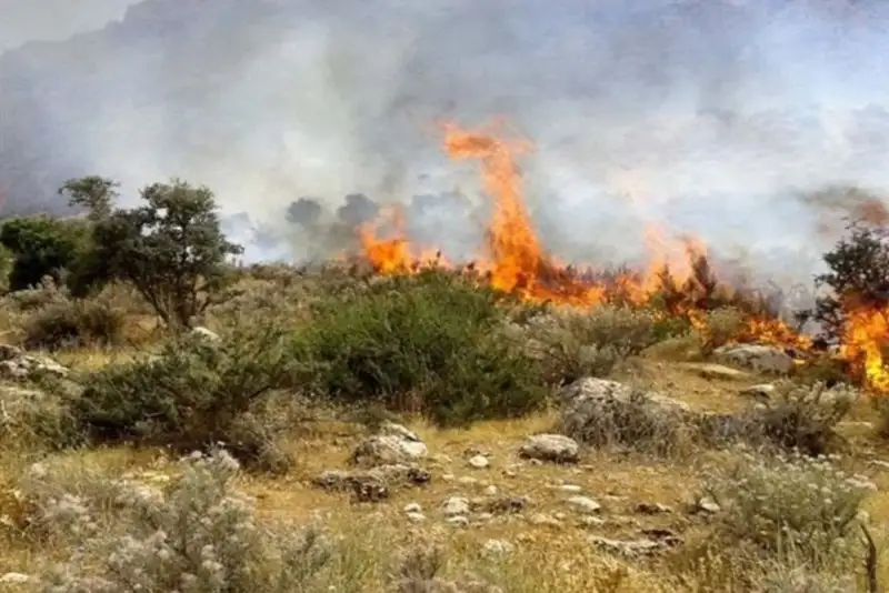 آتش‌سوزی در ارتفاعات کلاردشت