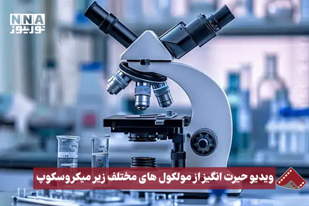 نورنما | ویدیویی حیرت‌انگیز از مولکول‌های مختلف زیر میکروسکوپ