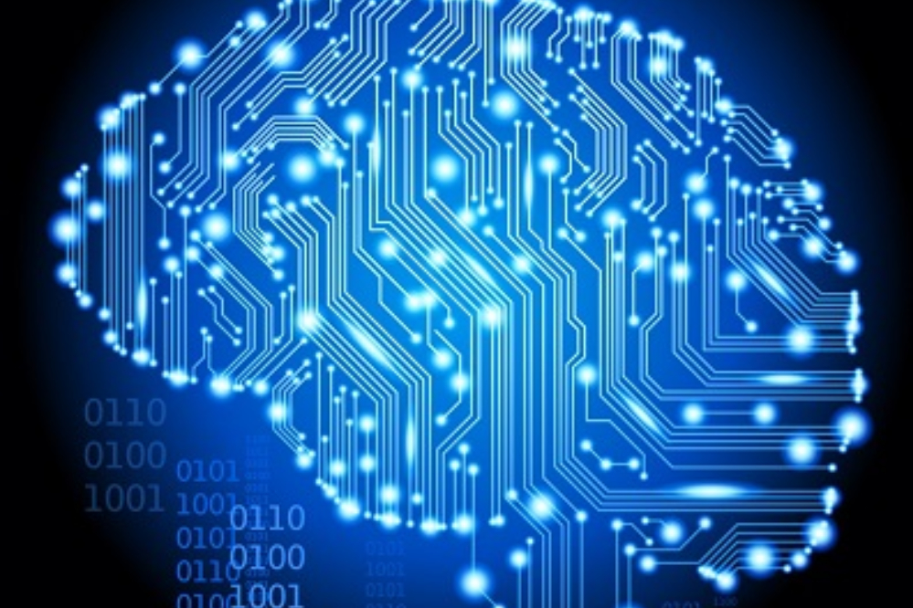 نرم افزار جدیدی که شبیه سازی مغز را ارتقا می دهد