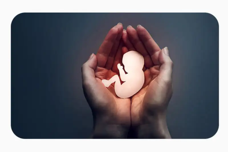 ثبت بیش از 36 هزار سقط جنین در شش ماه اول 1404