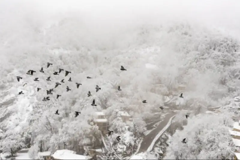 موج جدید بارشی در راه مازندران/ بارش برف در ارتفاعات