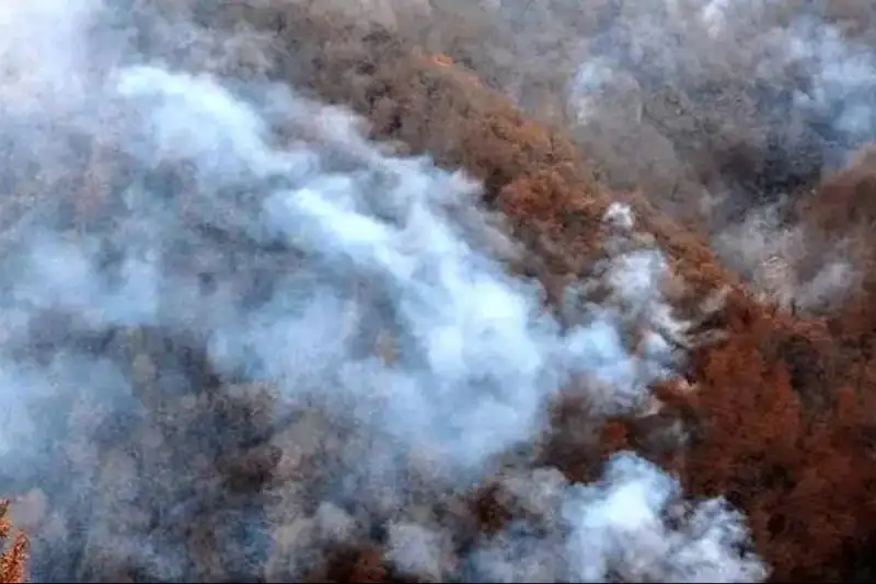 80 درصد آتش‌سوزی جنگل‌های الیت چالوس مهار شد + فیلم