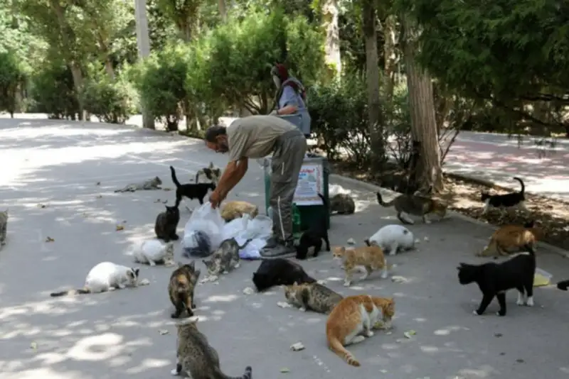 خیانت به محیط زیست با ژست حمایت از حیوانات