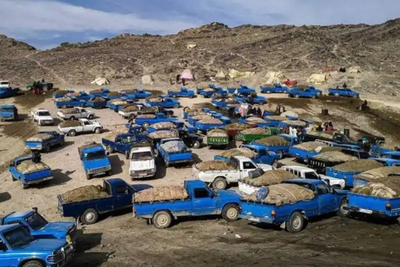 قاچاق: اقتصاد موازی و مخرّب