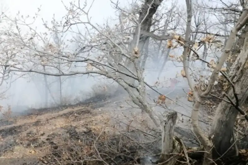 جزئیات تازه از عملیات مهار حریق در منطقه صعب‌العبور چالوس