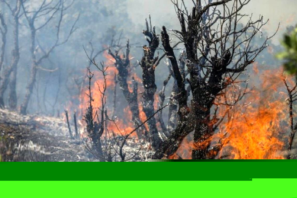 آخرین وضعیت آتش‌سوزی آشوراده؛ کنترل حریق در چهار مرحله عملیات هوایی