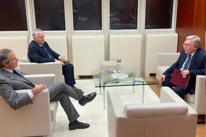 اولیانوف: با گروسی نشستی درباره ایران و اوکراین داشتم