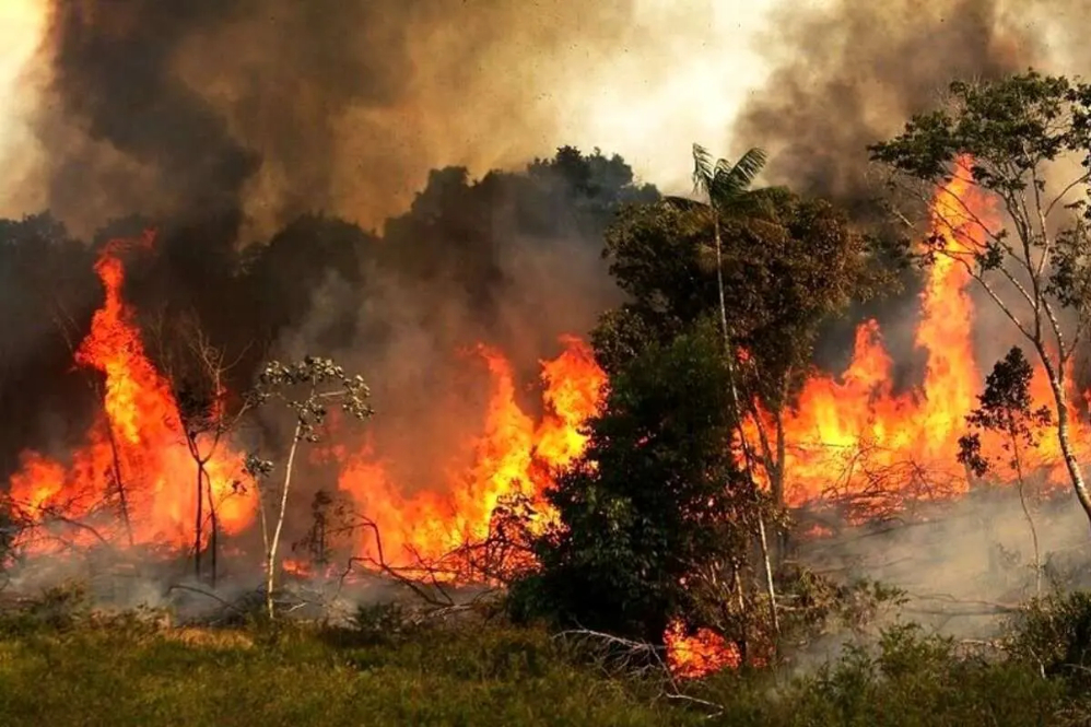 اعزام هواپیماهای اطفای حریق ترکیه به چالوس؛ عملیات مهار آتش وارد روز هفتم شد