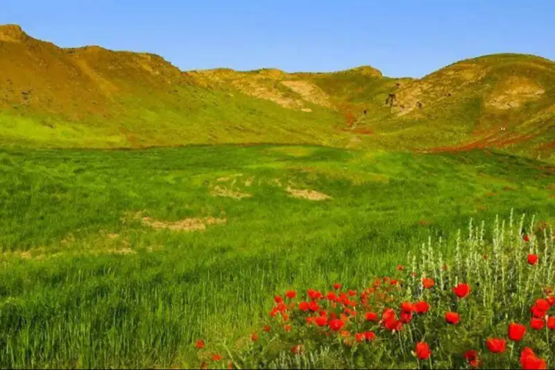 ایران نما | معرفی جاذبه های گردشگری شهرهای ایران (131) « تربت جام»