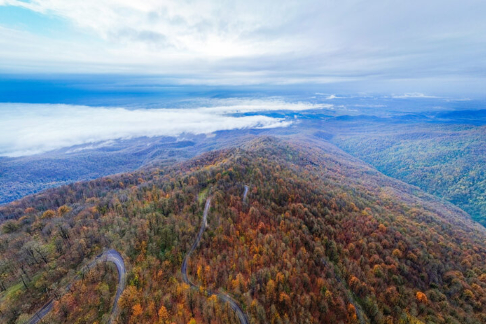 جنگل های هیرکانی، میراثی جهانی که نیمی از آن در مازندران است