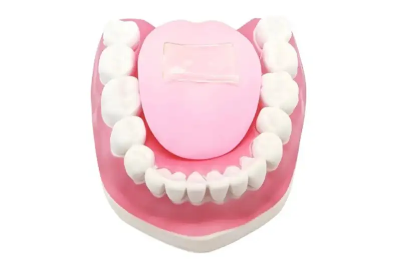 ساخت زبان مصنوعی با قابلیت سنجش تندی غذا