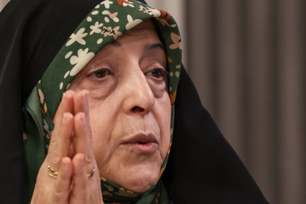 Wars devastate not only people, but also the environment: Former vice president