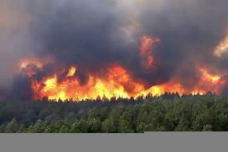 سرنوشت جنگل‌های هیرکانی در دست باران  / آتش‌ فرو می‌نشیند؟