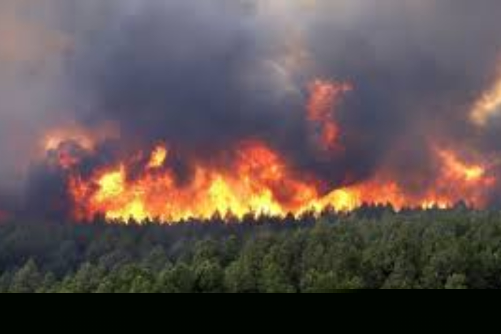 سرنوشت جنگل‌های هیرکانی در دست باران  / آتش‌ فرو می‌نشیند؟