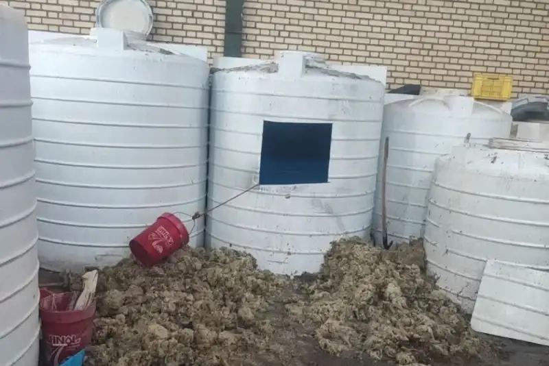 مرگ دو کارگر در کارگاه ترشی‌سازی کاشان