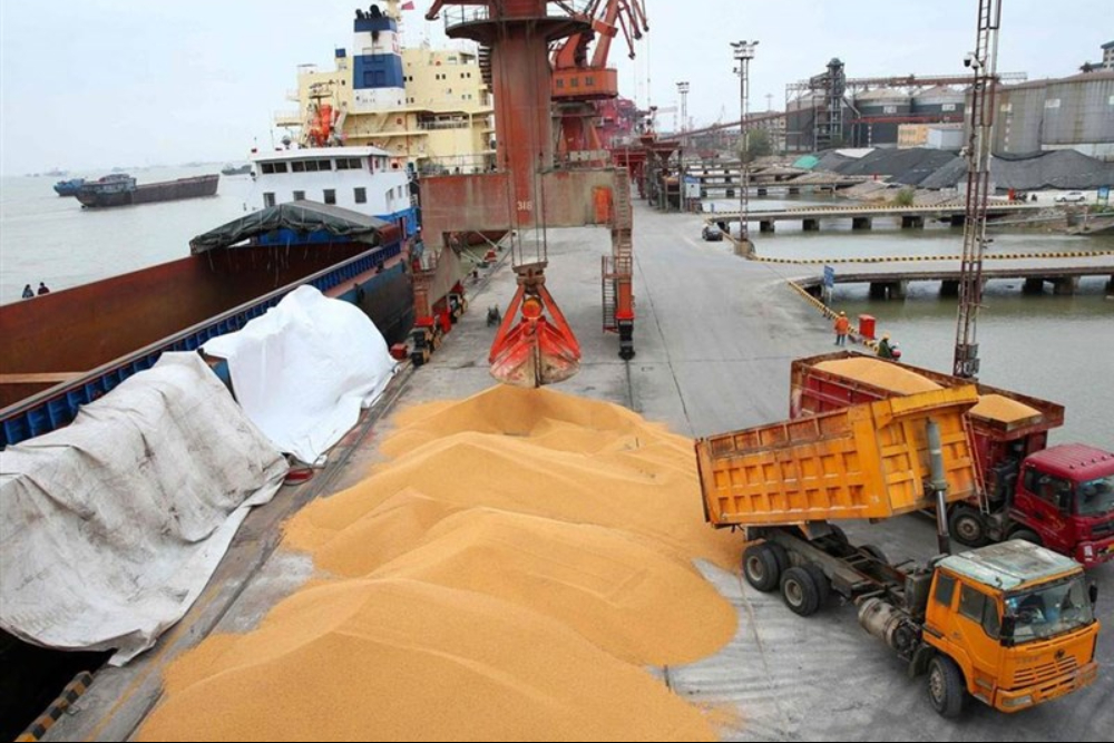 حذف انحصار از واردات نهاده‌های دامی با تهاتر نفت