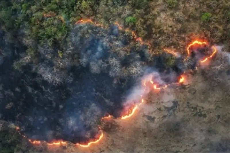 توسکستان در آتش / تداوم آتش‌سوزی‌های سریالی در جنگل‌های شمال