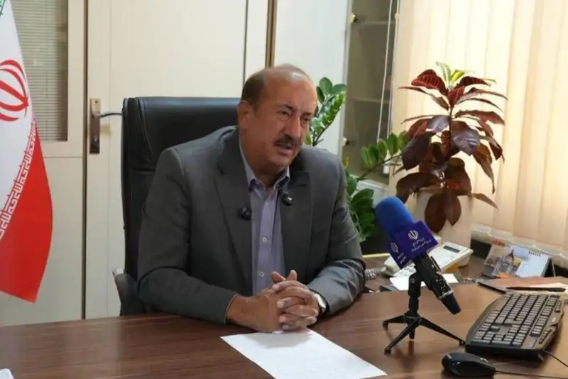 قیمت‌گذاری خودروهای مونتاژی در اختیار شورای رقابت است