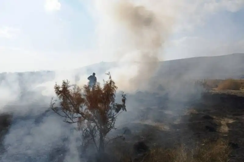 مهار آتش‌سوزی در حریم پارک ملی دریاچه ارومیه