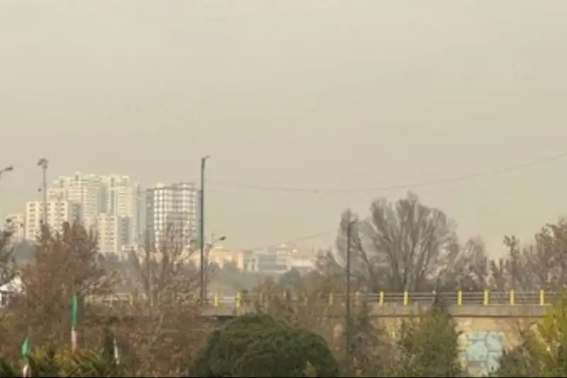 فضای سبز، سپر نابرابر پایتخت در برابر آلودگی هوا