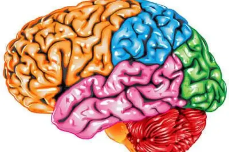 چرا مغز می‌گوید «حوصله ندارم» ؟