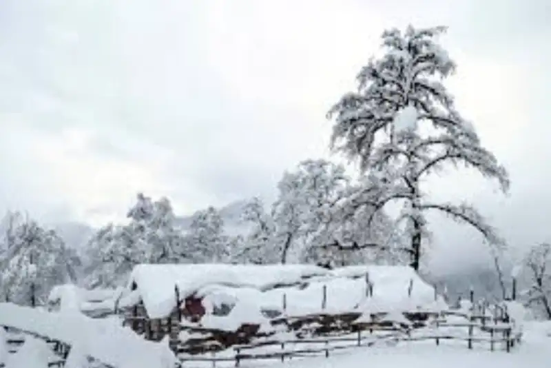 دستگاه های امدادی مازندران در حالت آماده باش