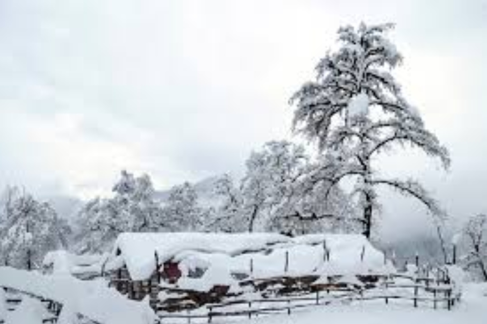 دستگاه های امدادی مازندران در حالت آماده باش