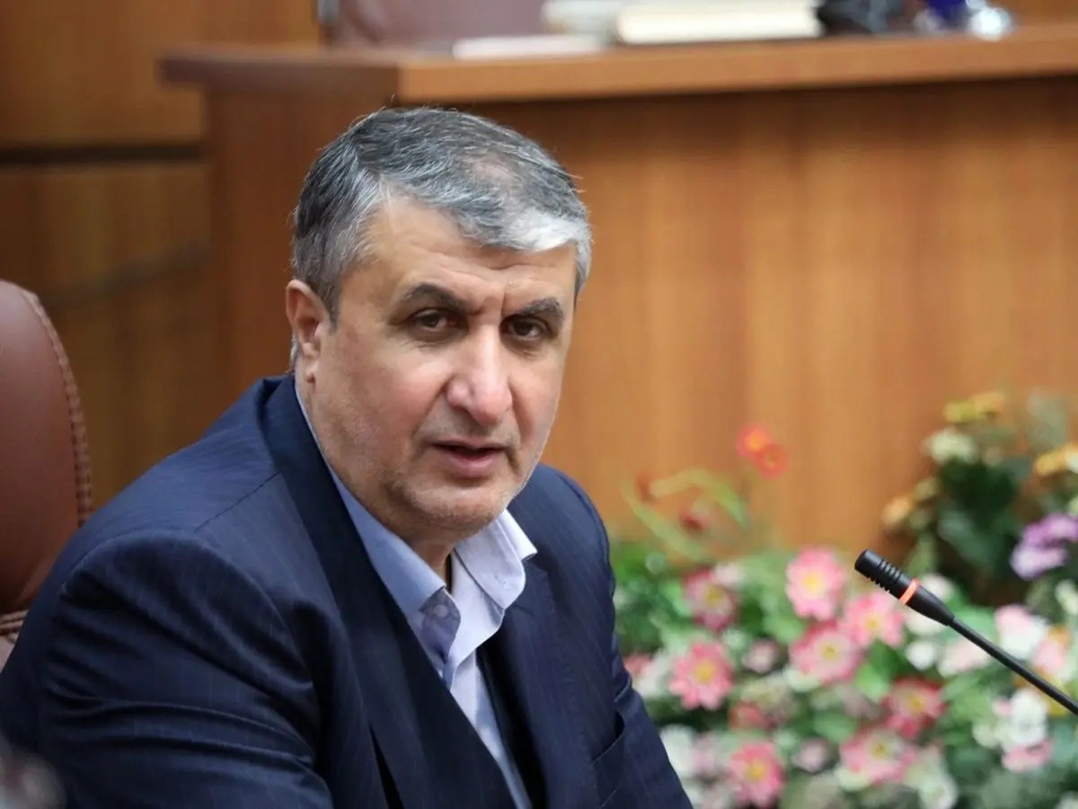 No IAEA inspectors currently in Iran: nuclear chief