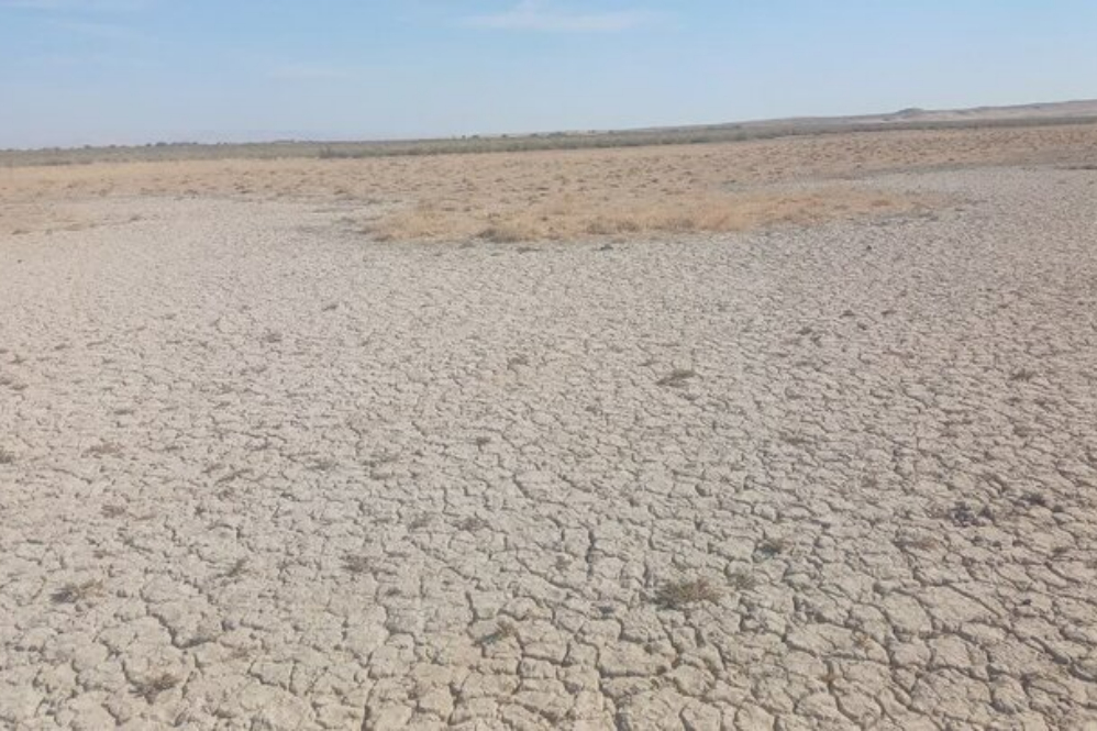 تالاب بندعلیخان خشک شد