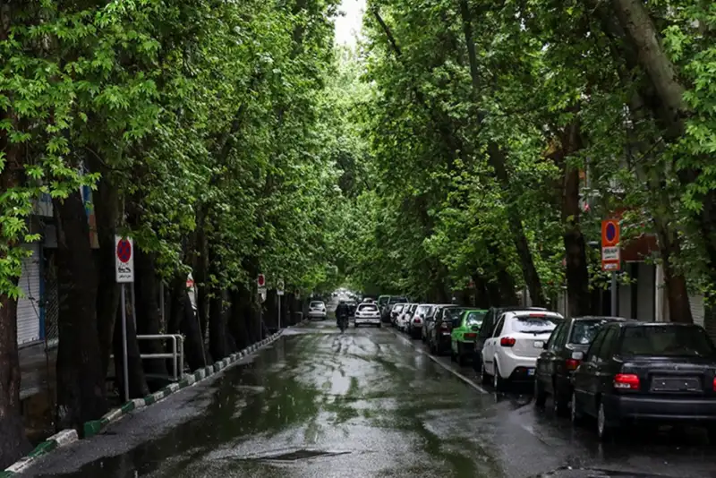 باران تا جمعه در تهران ادامه دارد؛ هوا سرد می‌شود