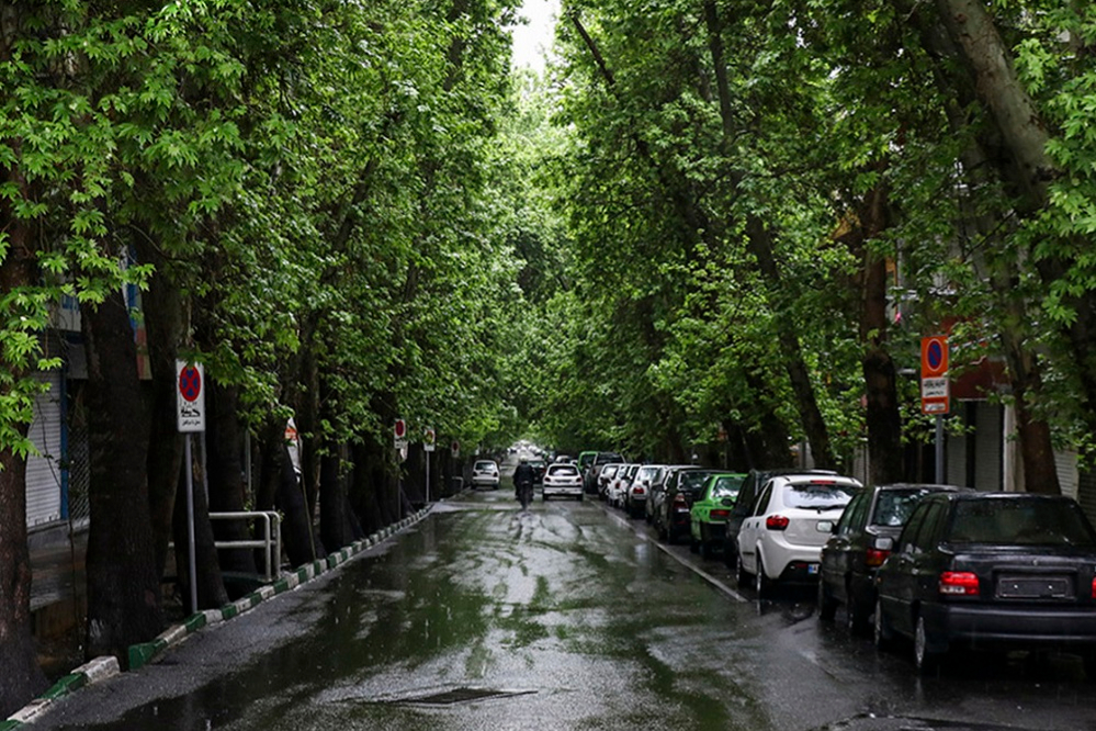 باران تا جمعه در تهران ادامه دارد؛ هوا سرد می‌شود