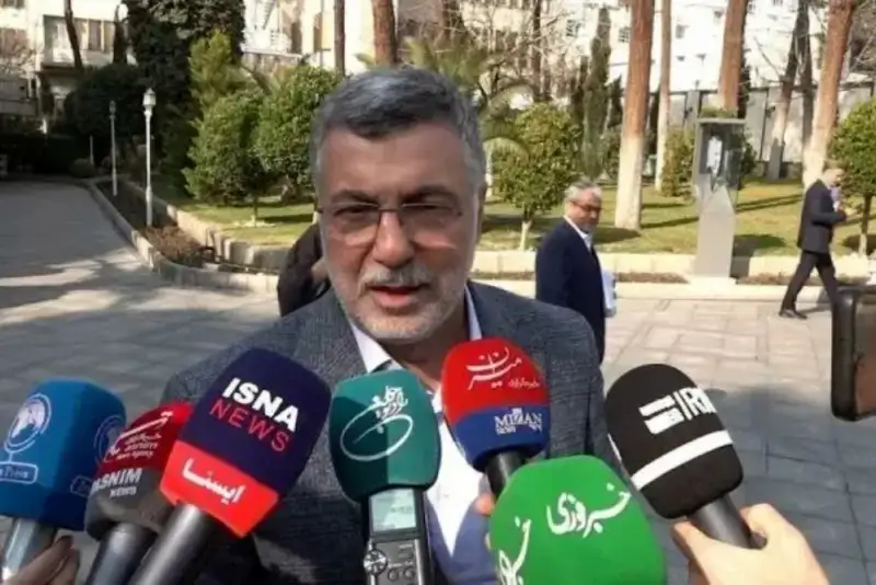 ظفرقندی: در پیک آنفلوآنزا هستیم